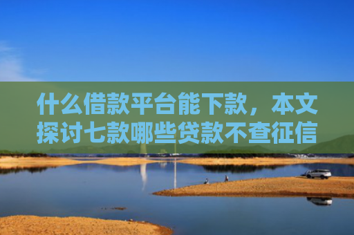 什么借款平台能下款，本文探讨七款哪些贷款不查征信好下款