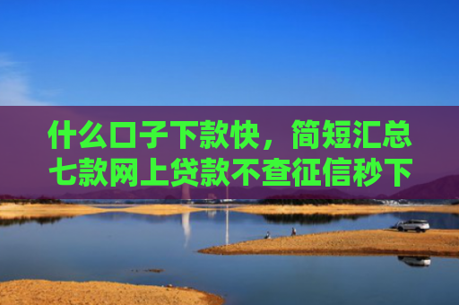 什么口子下款快，简短汇总七款网上贷款不查征信秒下款