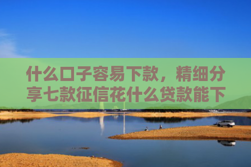 什么口子容易下款，精细分享七款征信花什么贷款能下款
