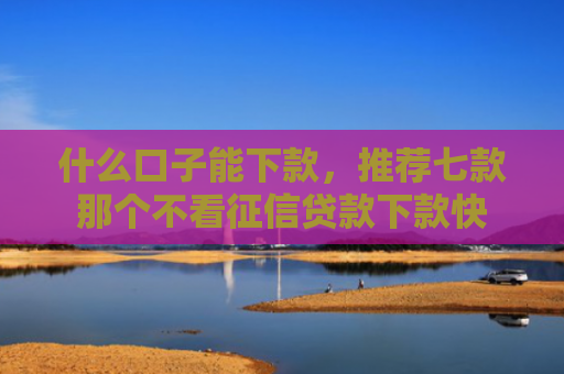 什么口子能下款，推荐七款那个不看征信贷款下款快