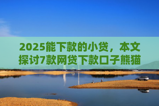 2025能下款的小贷，本文探讨7款网贷下款口子熊猫应急