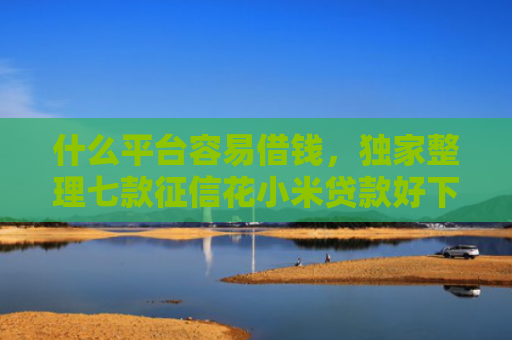 什么平台容易借钱，独家整理七款征信花小米贷款好下款吗