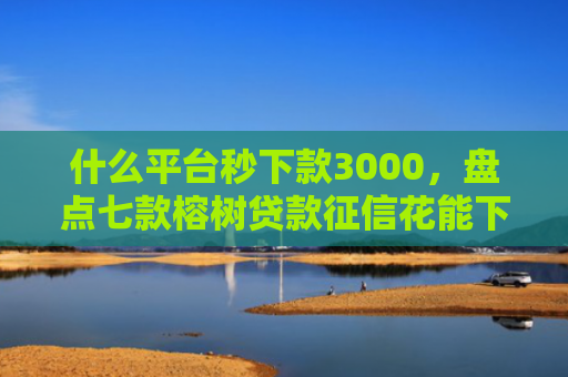什么平台秒下款3000，盘点七款榕树贷款征信花能下款吗