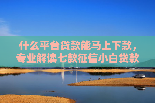 什么平台贷款能马上下款，专业解读七款征信小白贷款容易下款吗