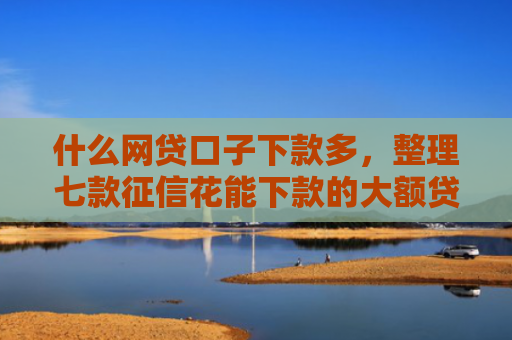 什么网贷口子下款多，整理七款征信花能下款的大额贷款