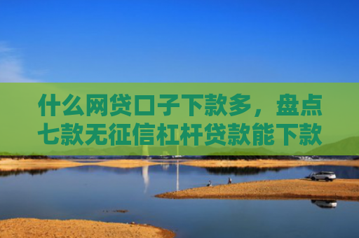 什么网贷口子下款多，盘点七款无征信杠杆贷款能下款吗