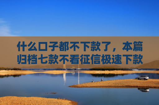 什么口子都不下款了，本篇归档七款不看征信极速下款的贷款