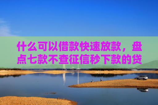 什么可以借款快速放款，盘点七款不查征信秒下款的贷款
