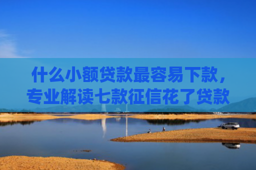 什么小额贷款最容易下款，专业解读七款征信花了贷款好下款的app