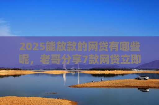 2025能放款的网贷有哪些呢，老哥分享7款网贷立即下款的口子