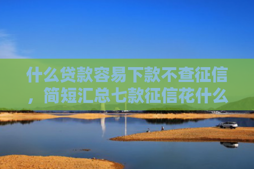 什么贷款容易下款不查征信，简短汇总七款征信花什么贷款好下款