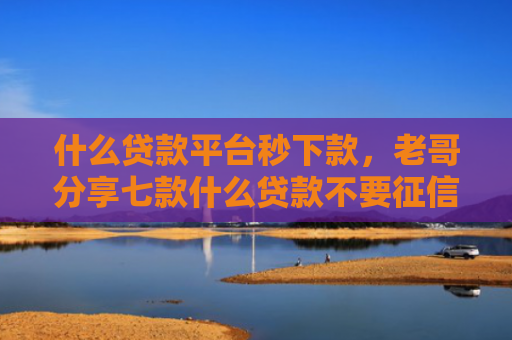什么贷款平台秒下款，老哥分享七款什么贷款不要征信下款快