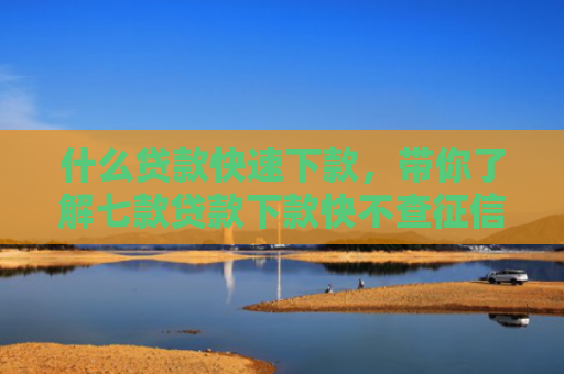 什么贷款快速下款，带你了解七款贷款下款快不查征信