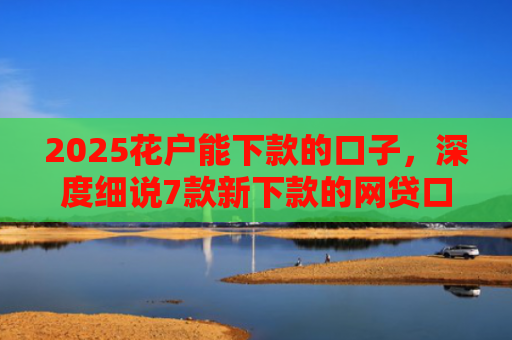 2025花户能下款的口子，深度细说7款新下款的网贷口子