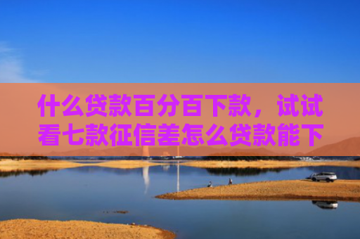 什么贷款百分百下款，试试看七款征信差怎么贷款能下款