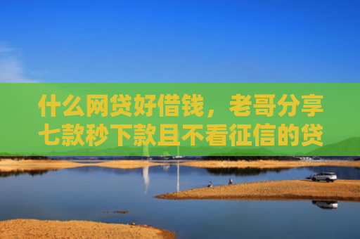 什么网贷好借钱，老哥分享七款秒下款且不看征信的贷款