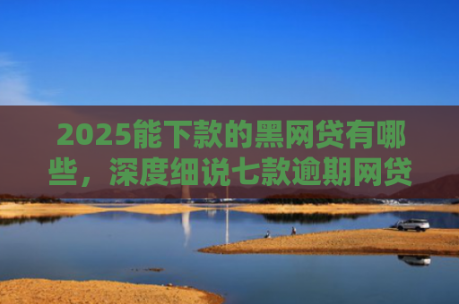 2025能下款的黑网贷有哪些，深度细说七款逾期网贷下款贷款口子