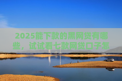2025能下款的黑网贷有哪些，试试看七款网贷口子怎么好下款