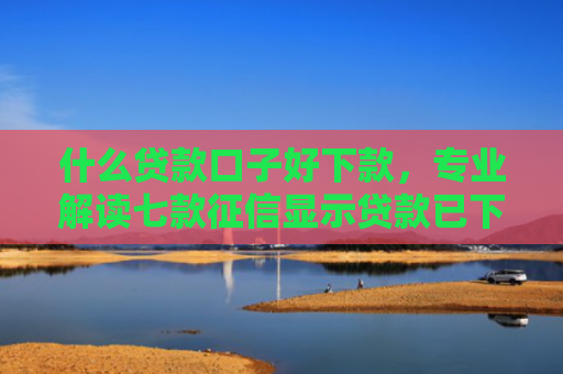 什么贷款口子好下款，专业解读七款征信显示贷款已下款