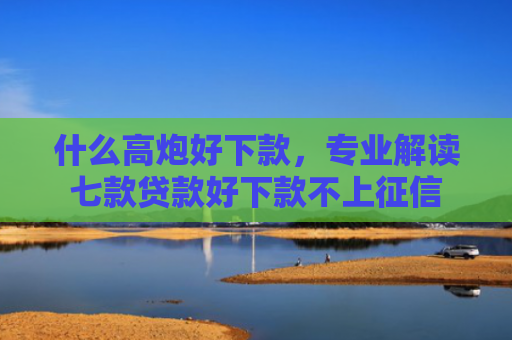 什么高炮好下款，专业解读七款贷款好下款不上征信