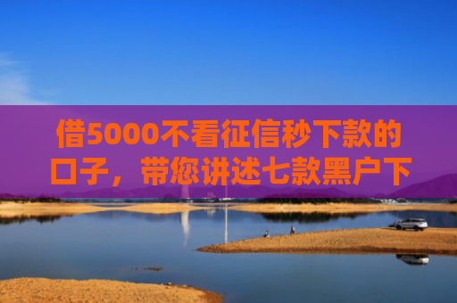 借5000不看征信秒下款的口子，带您讲述七款黑户下款最快的网贷6