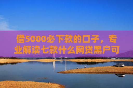 借5000必下款的口子，专业解读七款什么网贷黑户可以下款的