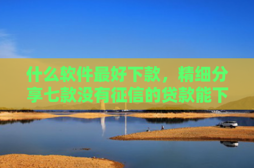 什么软件最好下款，精细分享七款没有征信的贷款能下款吗