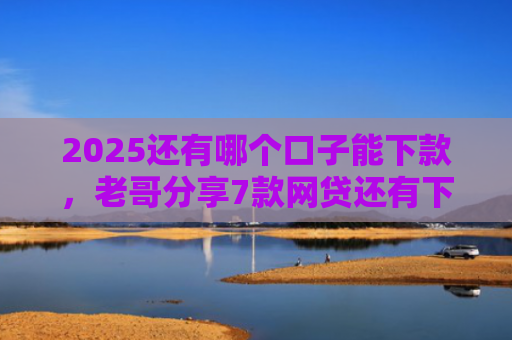 2025还有哪个口子能下款，老哥分享7款网贷还有下款口子吗