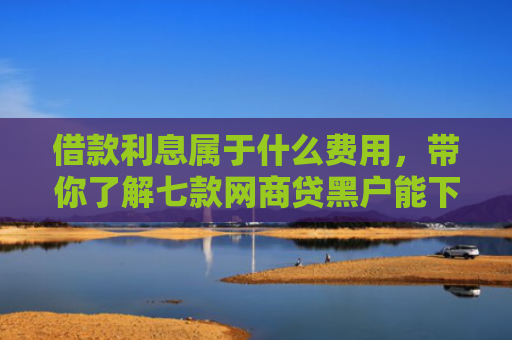 借款利息属于什么费用，带你了解七款网商贷黑户能下款吗怎么办