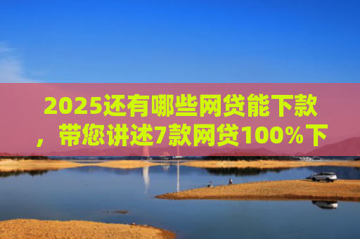 2025还有哪些网贷能下款，带您讲述7款网贷100%下款的口子