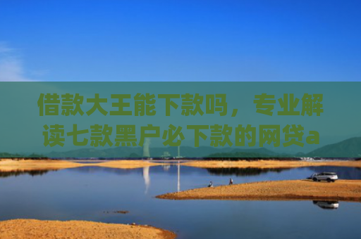 借款大王能下款吗，专业解读七款黑户必下款的网贷app2025