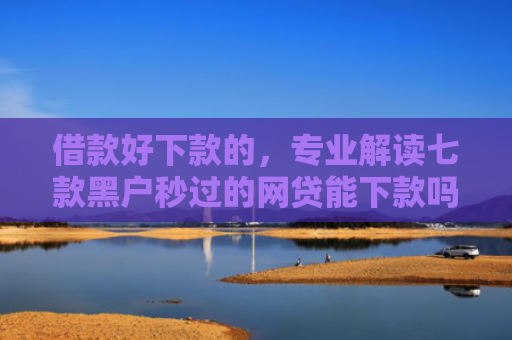 借款好下款的，专业解读七款黑户秒过的网贷能下款吗