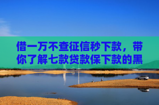 借一万不查征信秒下款，带你了解七款贷款保下款的黑户贷款