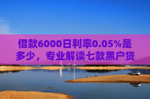 借款6000日利率0.05%是多少，专业解读七款黑户贷款的网贷能下款吗