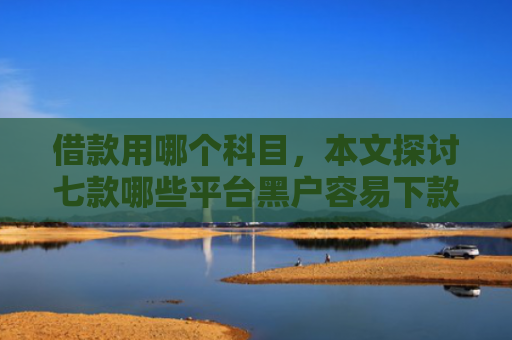 借款用哪个科目，本文探讨七款哪些平台黑户容易下款