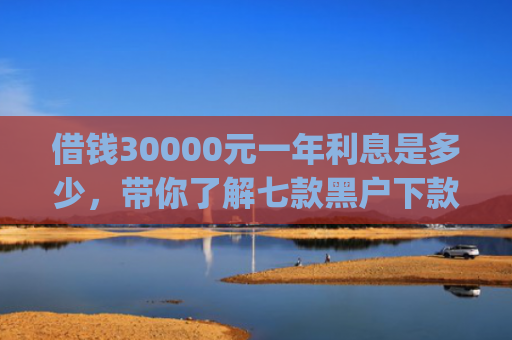 借钱30000元一年利息是多少，带你了解七款黑户下款平台App