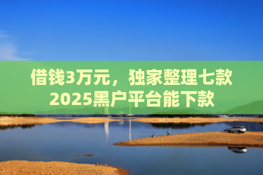借钱3万元，独家整理七款2025黑户平台能下款