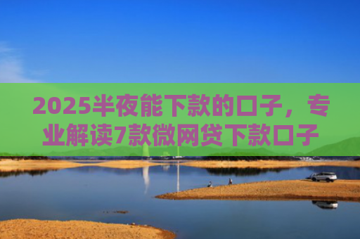 2025半夜能下款的口子，专业解读7款微网贷下款口子
