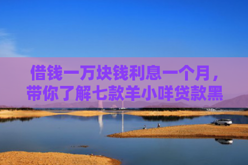 借钱一万块钱利息一个月，带你了解七款羊小咩贷款黑户能下款吗
