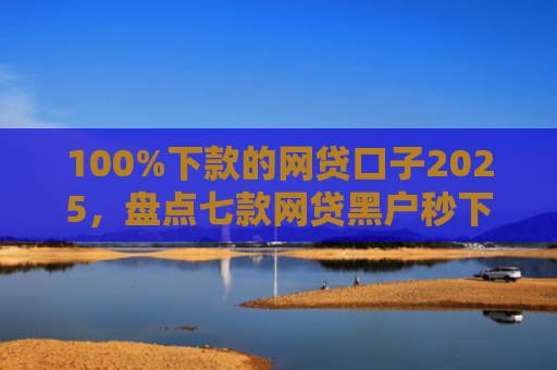 100%下款的网贷口子2025，盘点七款网贷黑户秒下款的口子
