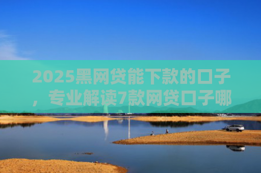 2025黑网贷能下款的口子，专业解读7款网贷口子哪些好下款