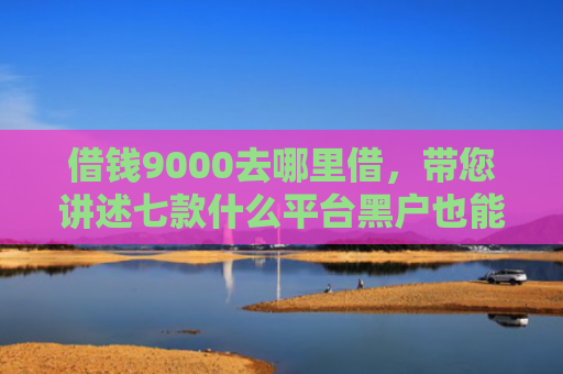 借钱9000去哪里借，带您讲述七款什么平台黑户也能下款