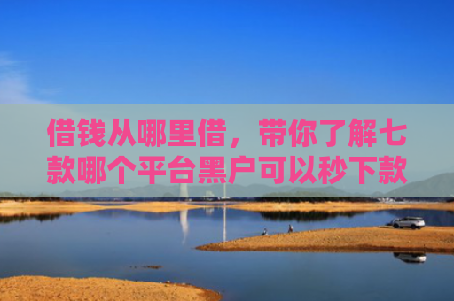 借钱从哪里借，带你了解七款哪个平台黑户可以秒下款