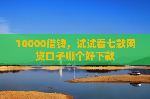 10000借钱，试试看七款网贷口子哪个好下款