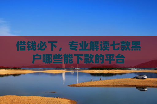 借钱必下，专业解读七款黑户哪些能下款的平台