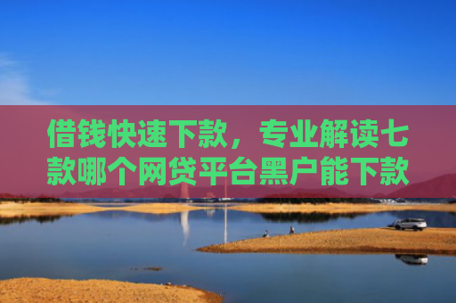 借钱快速下款，专业解读七款哪个网贷平台黑户能下款
