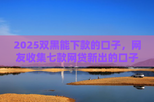 2025双黑能下款的口子，网友收集七款网贷新出的口子秒下款