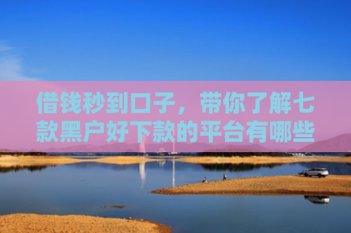 借钱秒到口子，带你了解七款黑户好下款的平台有哪些