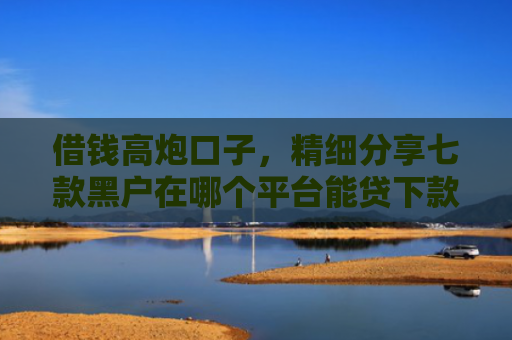 借钱高炮口子，精细分享七款黑户在哪个平台能贷下款