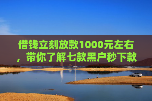 借钱立刻放款1000元左右，带你了解七款黑户秒下款的网贷平台